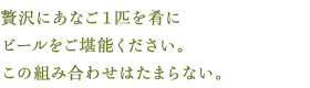 贅沢にあなご１匹を肴にビールをご堪能ください。この組み合わせはたまらない。